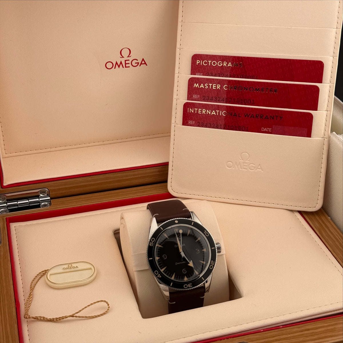 Omega Seamaster 300 41mm 234.32.41.21.01.001