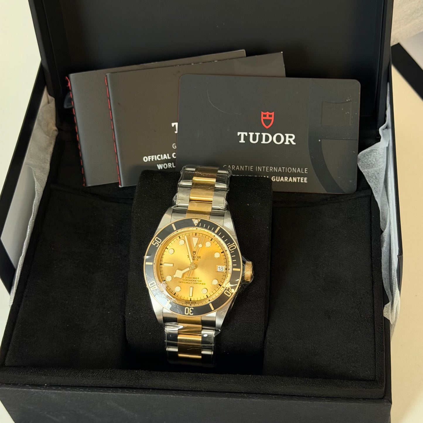 NEW Tudor Black Bay Steel & Gold 79733N