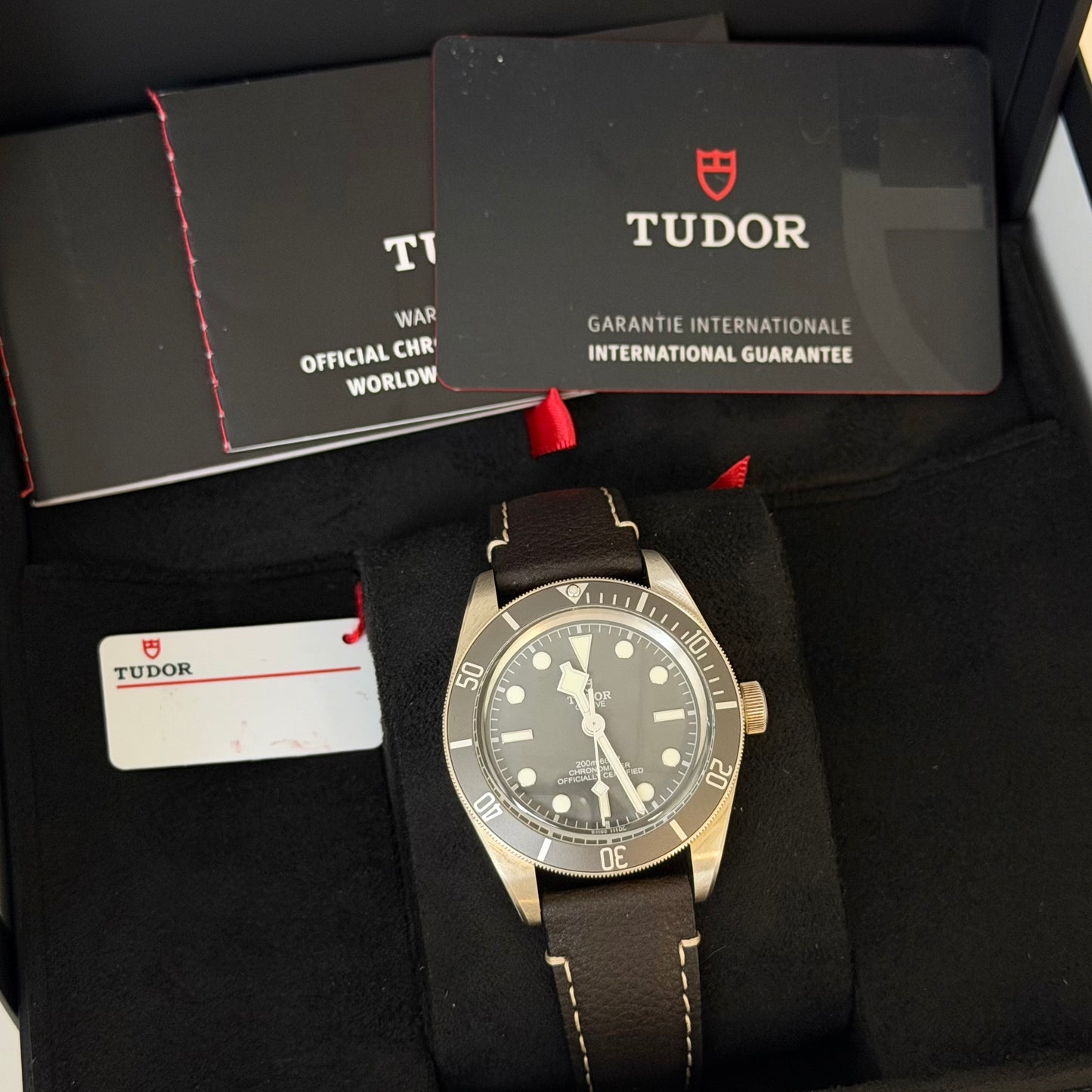 NEW Tudor BB58 Silver Strap 79010SG