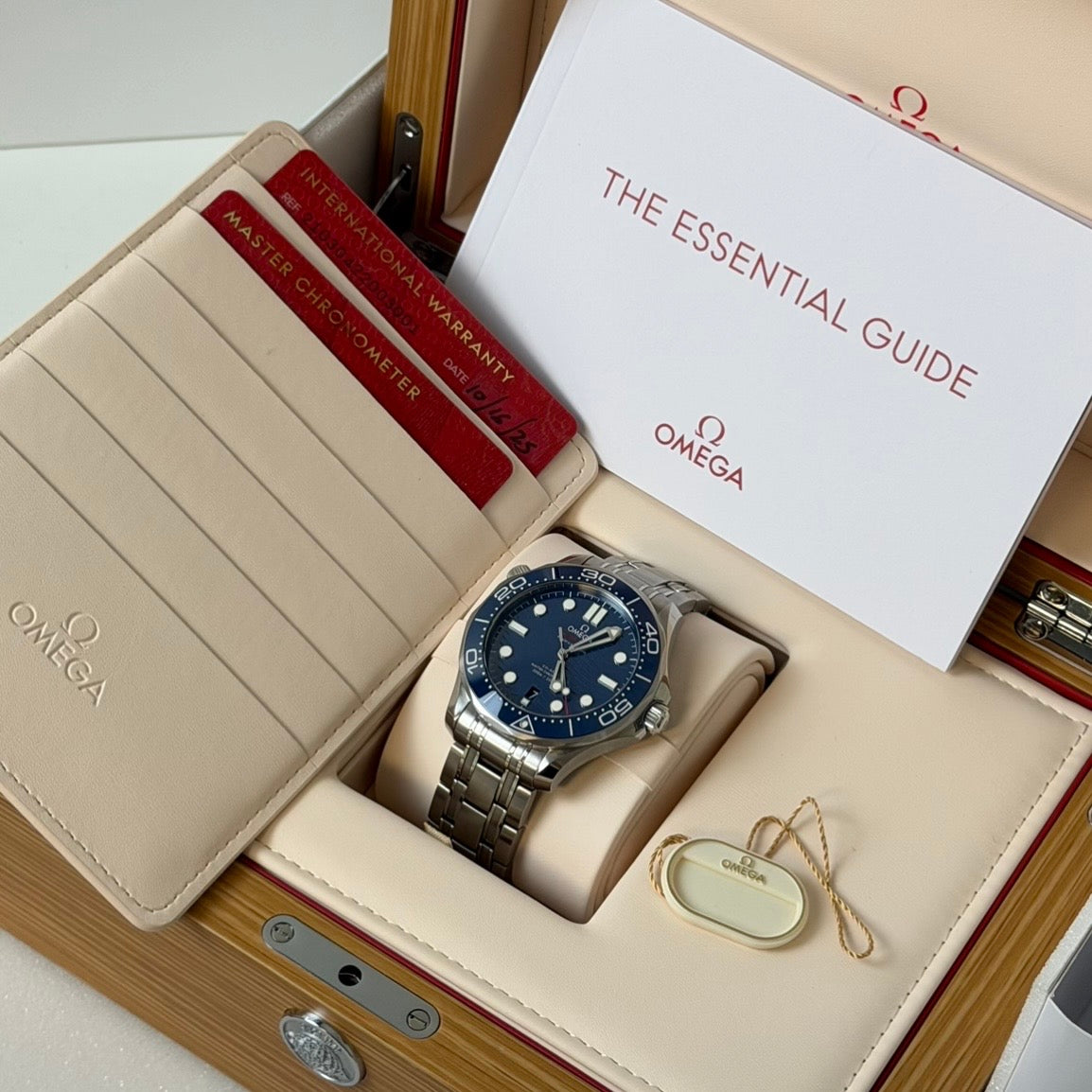 Omega Seamaster Professional Blue 210.30.42.20.03.001