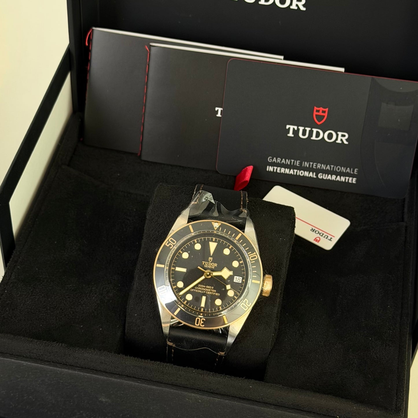 NEW Tudor Black Bay Steel & Gold 79733N