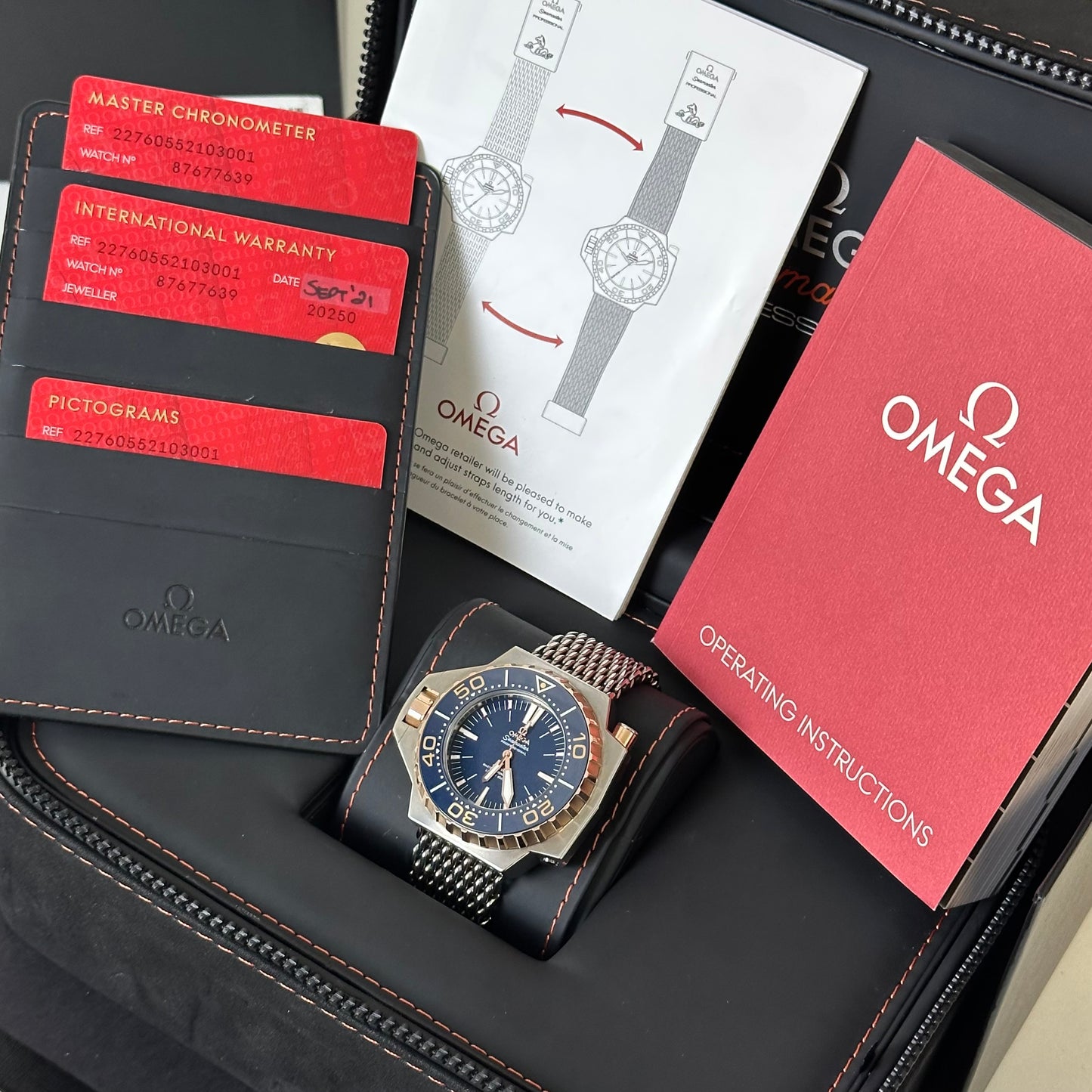 Omega Seamaster PloProf 227.60.55.21.03.001