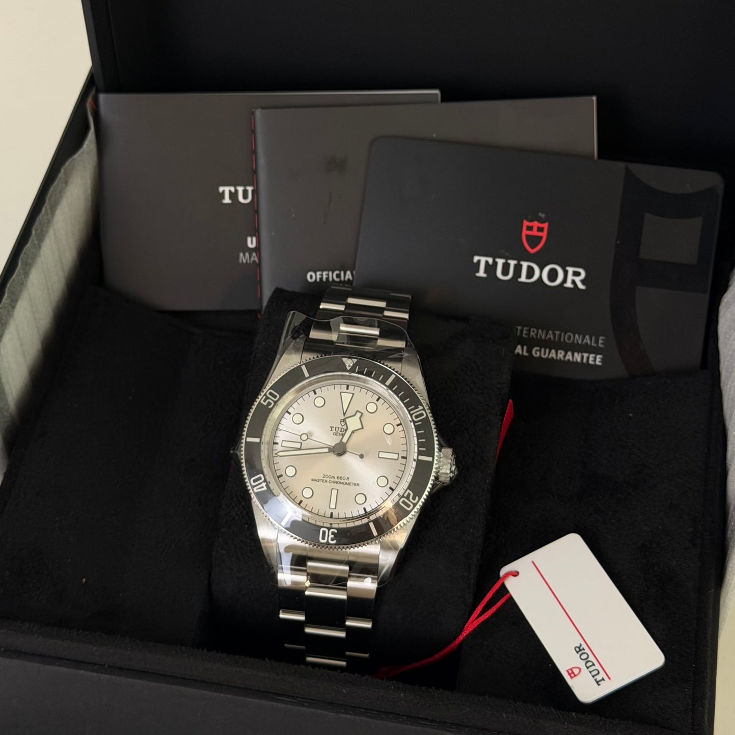 NEW Tudor Black Bay 68 Silver 7943A1A0NU
