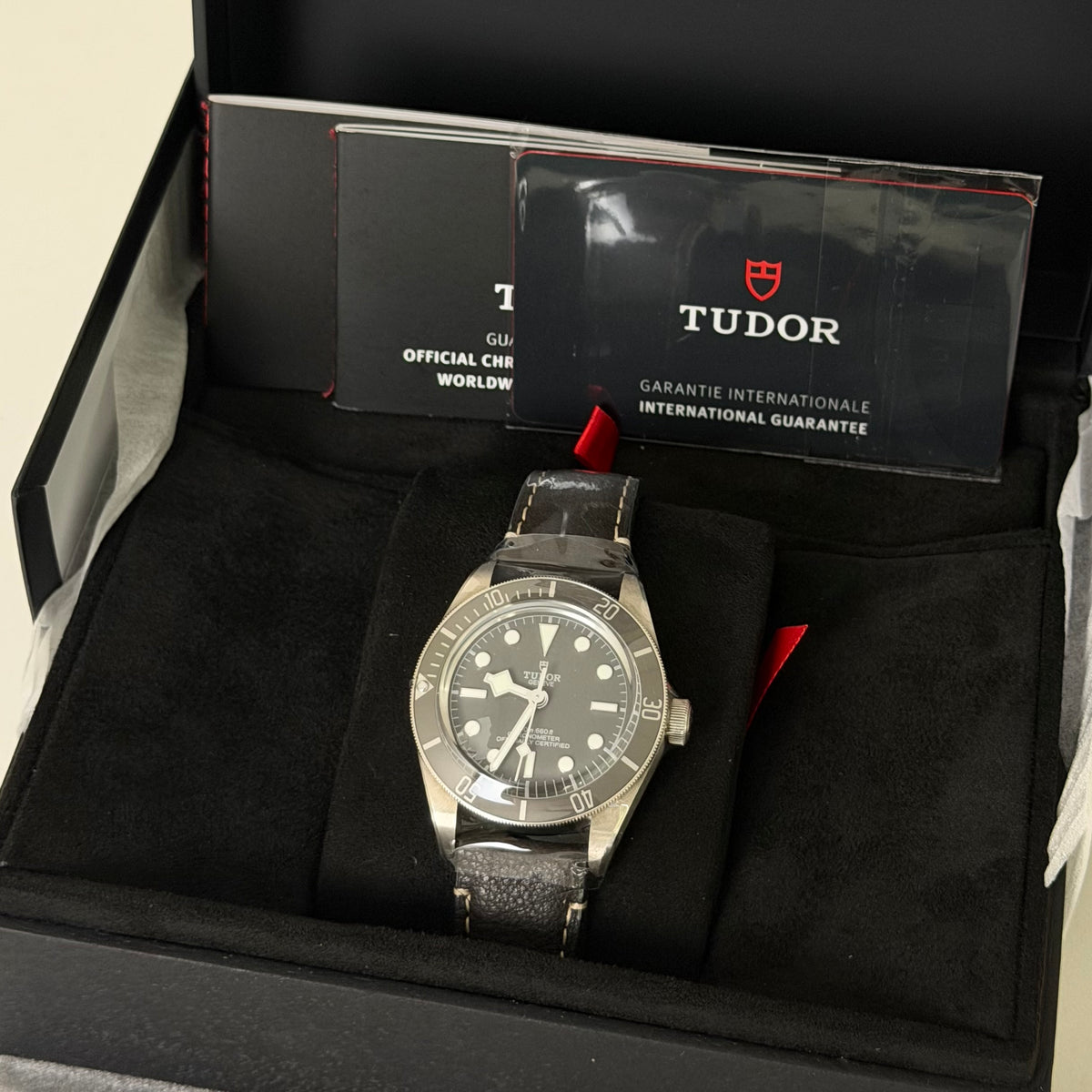 NEW Tudor BB58 Silver 79010SG