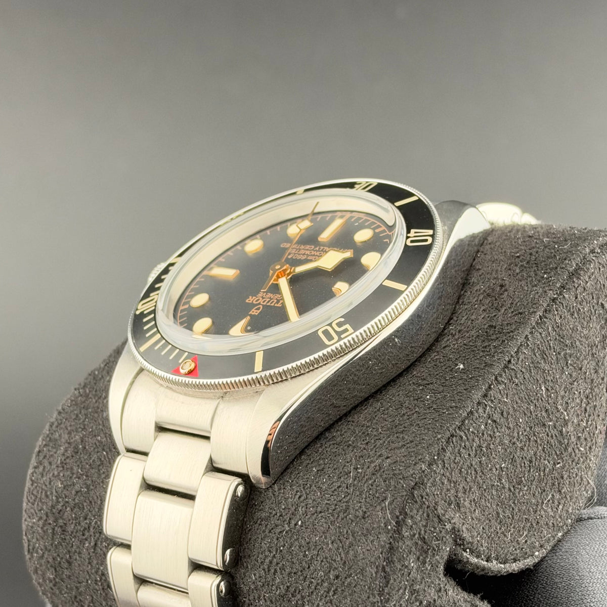 Tudor Black Bay 58 79030N