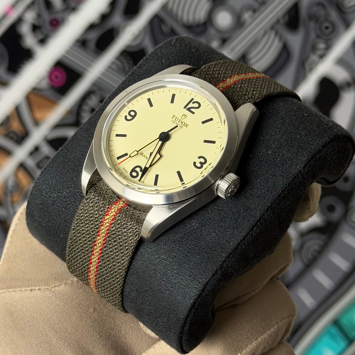NEW Tudor Ranger Dune 79950