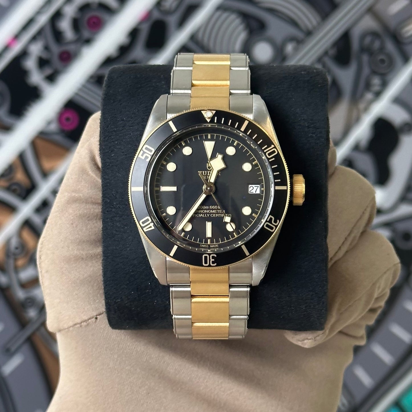 Tudor Black Bay Steel & Gold 79733N