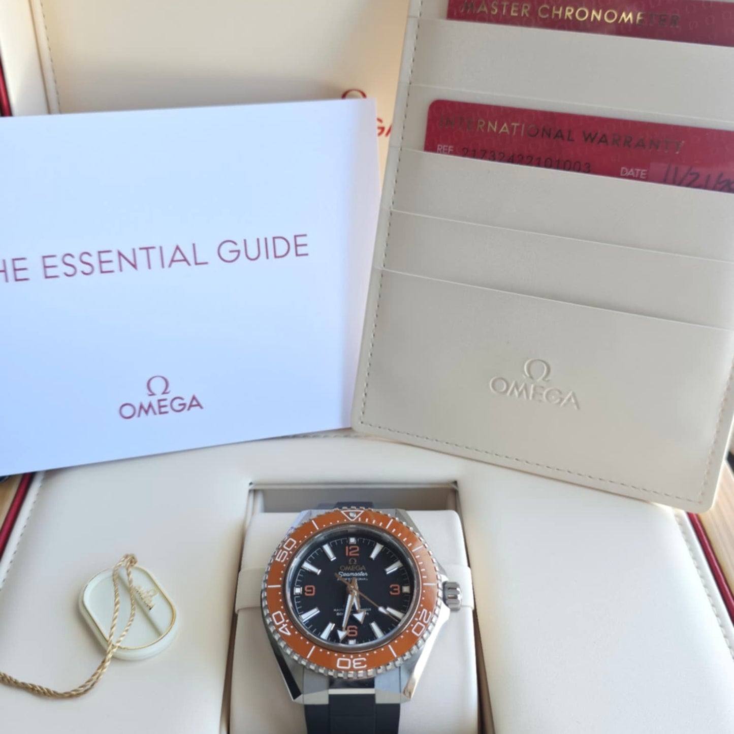 Omega SeaMaster Planet Ocean 217.32.42.21.01.003