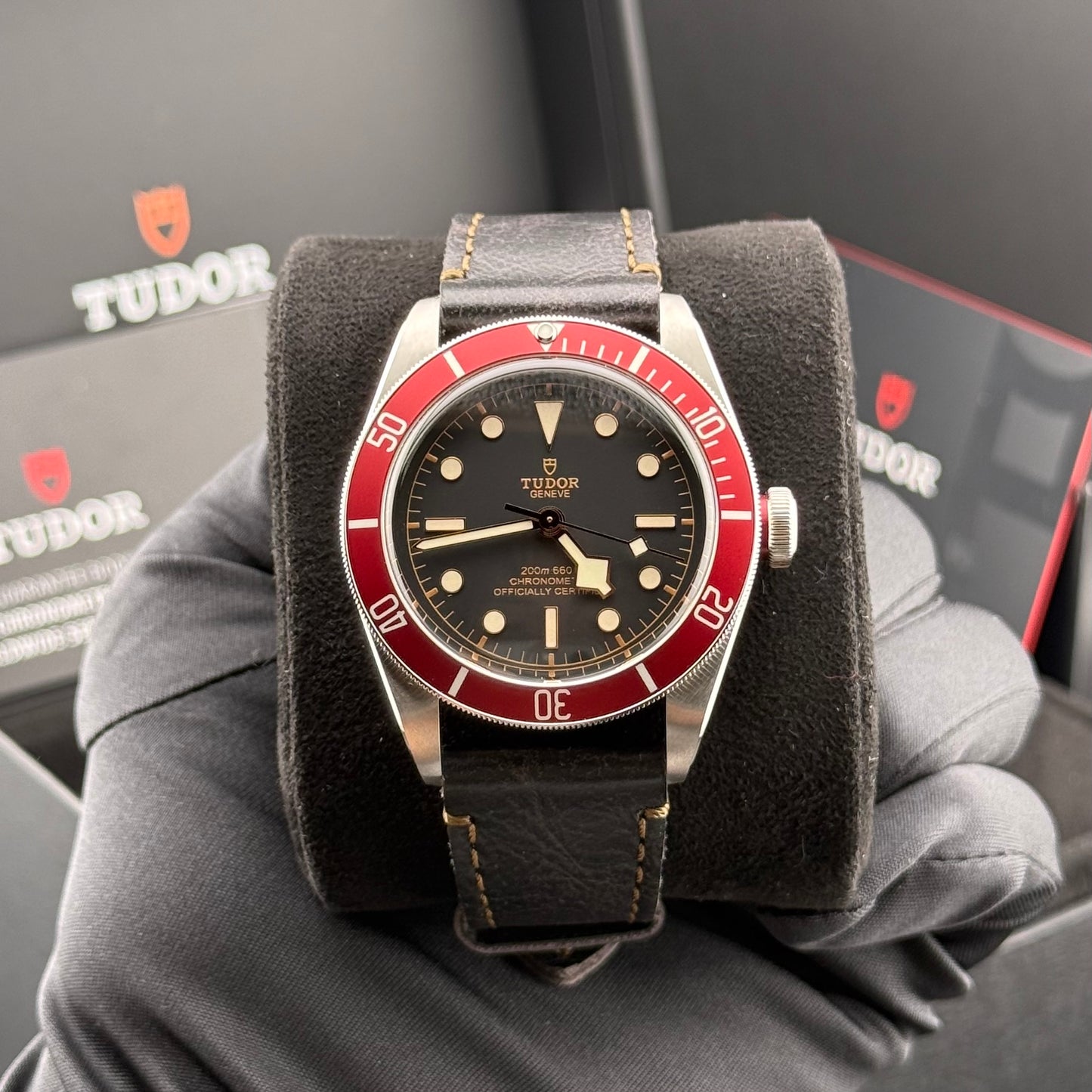 Tudor Black Bay Heritage 79230R