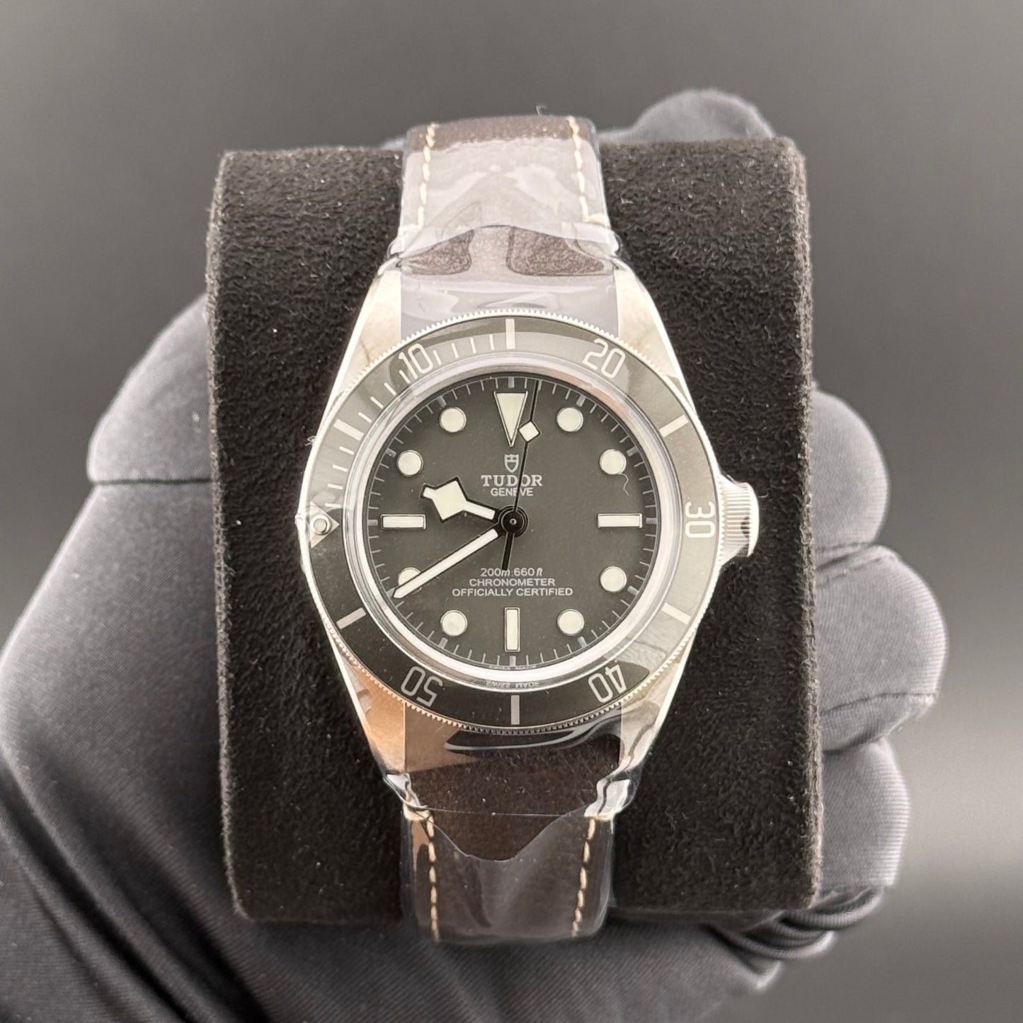 NEW Tudor Black Bay 58 925 79010SG
