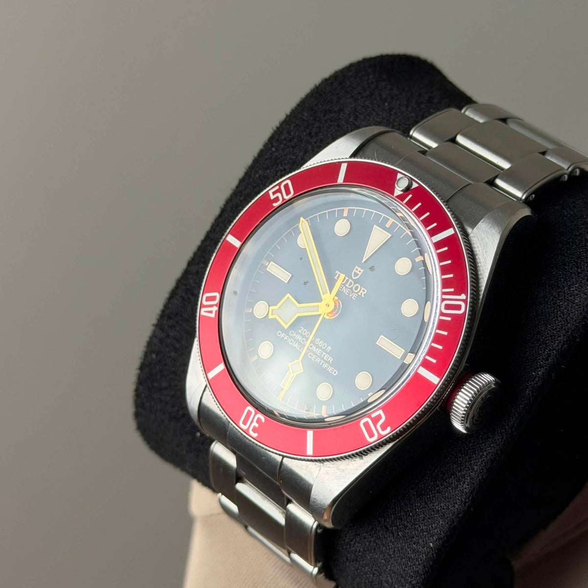 Tudor Black Bay 41 Red 79230R
