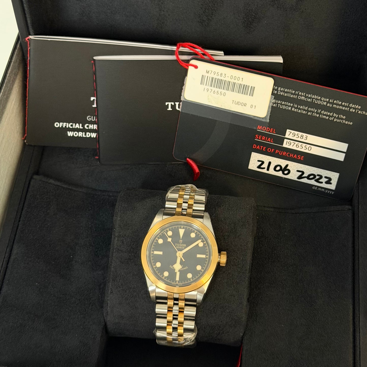 NEW Tudor Black Bay 32 79583
