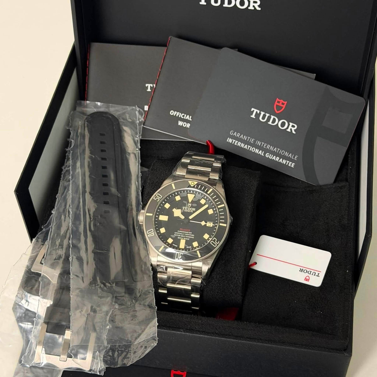 NEW Tudor Pelagos LHD 25610TNL
