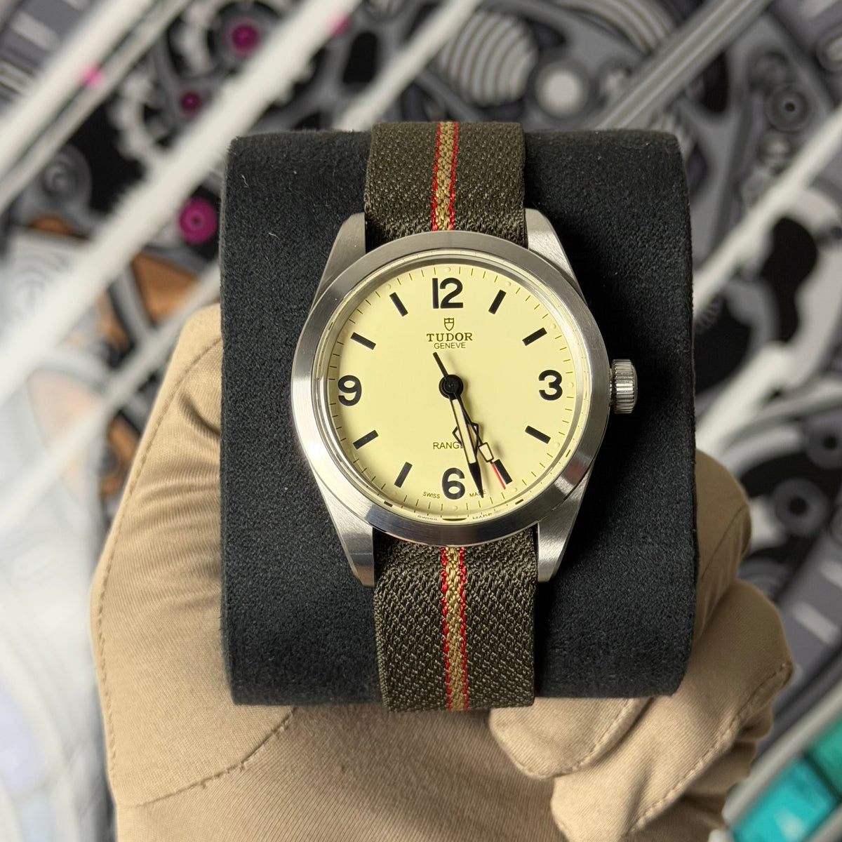 NEW Tudor Ranger Dune 79950