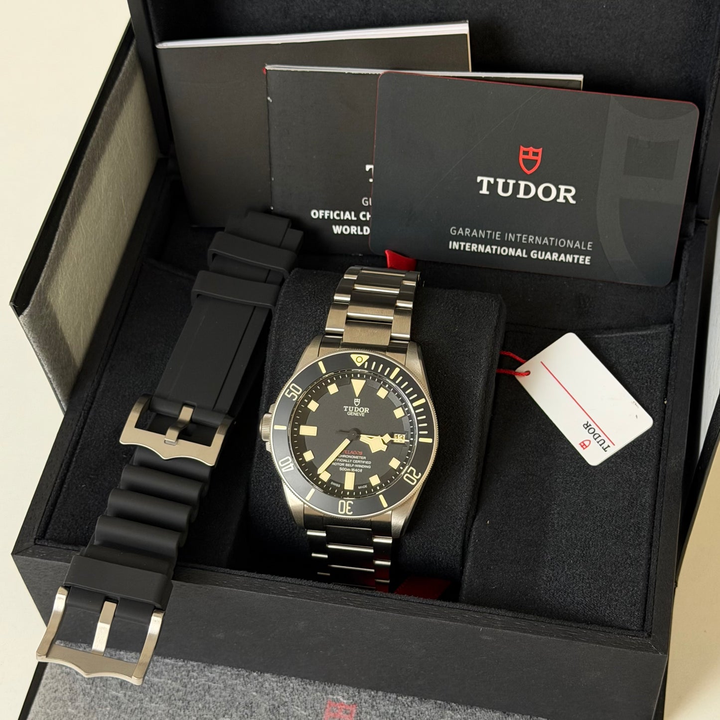 NEW Tudor Pelagos LHD 25610TNL