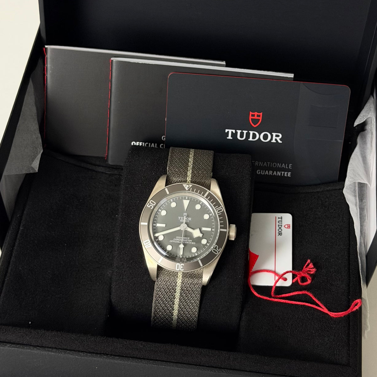 NEW Tudor BB58 Silver 79010SG