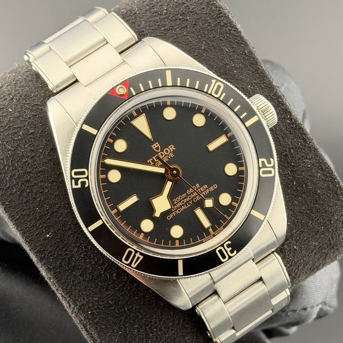Tudor Black Bay 58 79030N