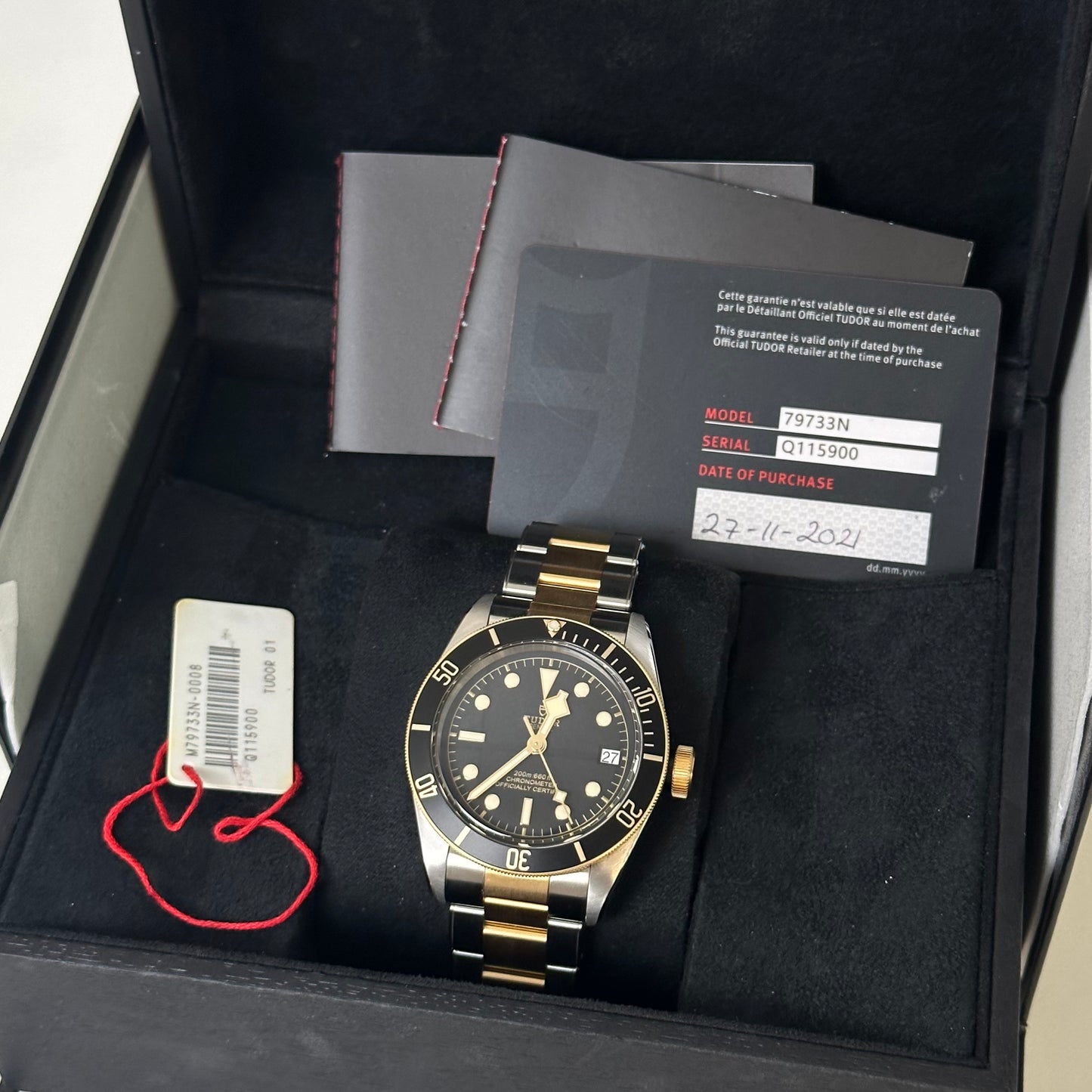 Tudor Black Bay Steel & Gold 79733N