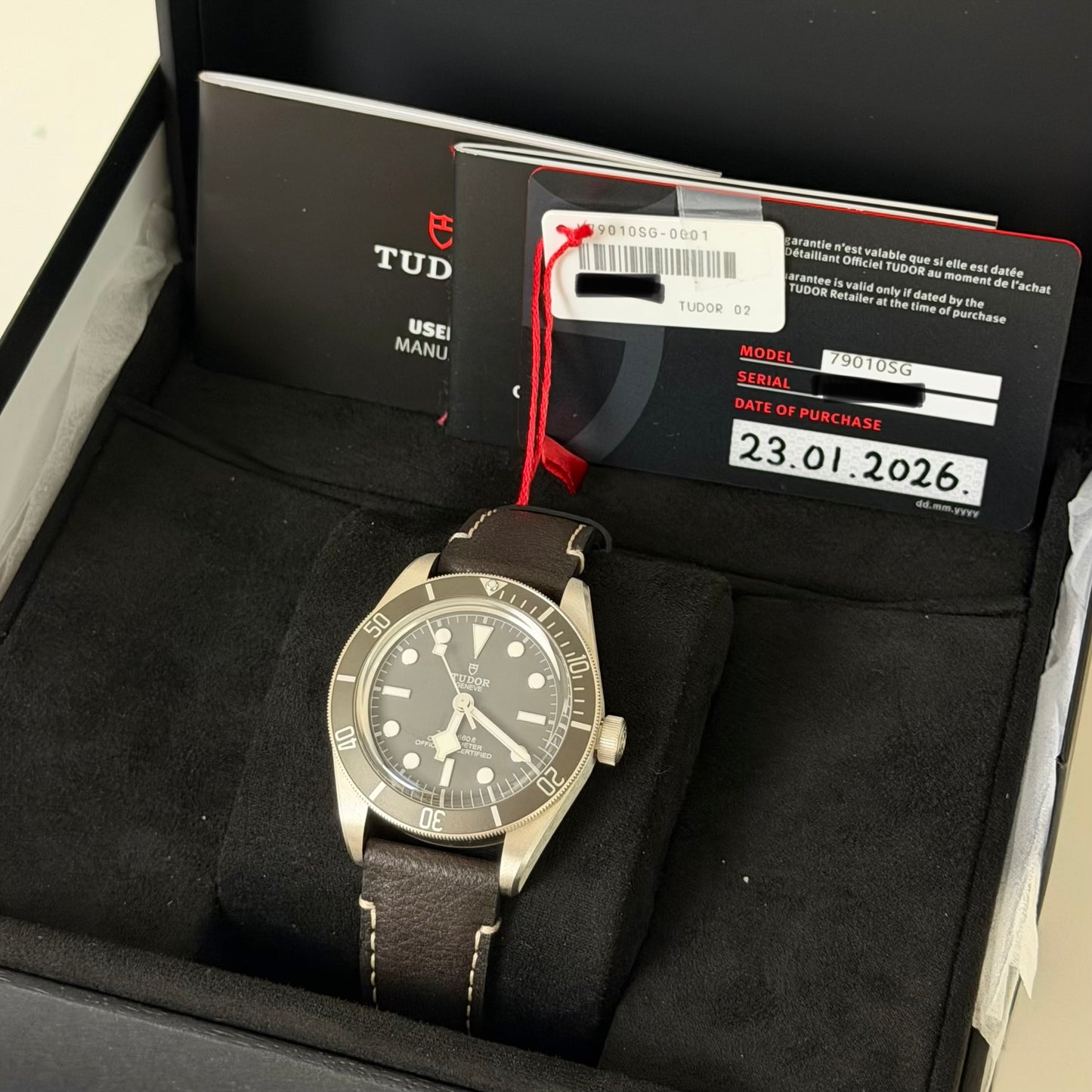 NEW Tudor BB58 Silver 79010SG