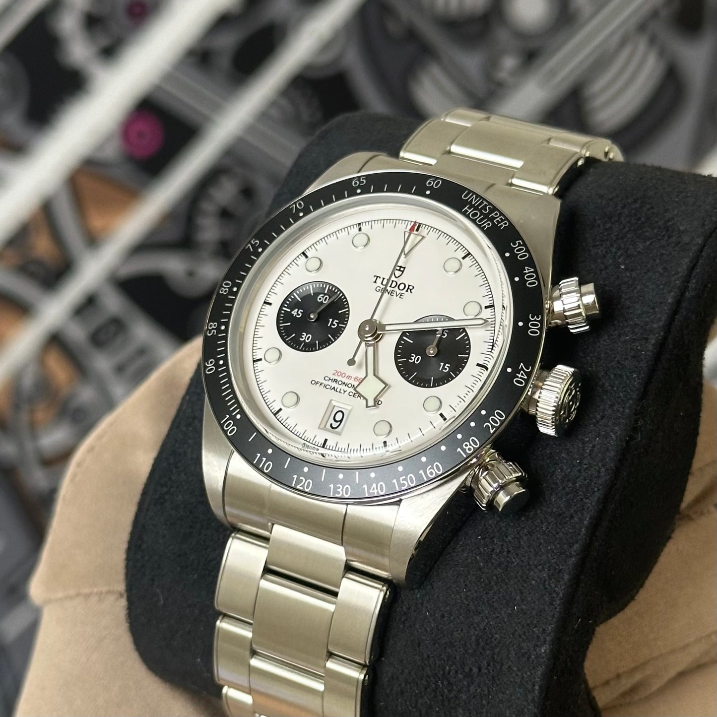 NEW Tudor Black Bay Chrono Panda 79360N