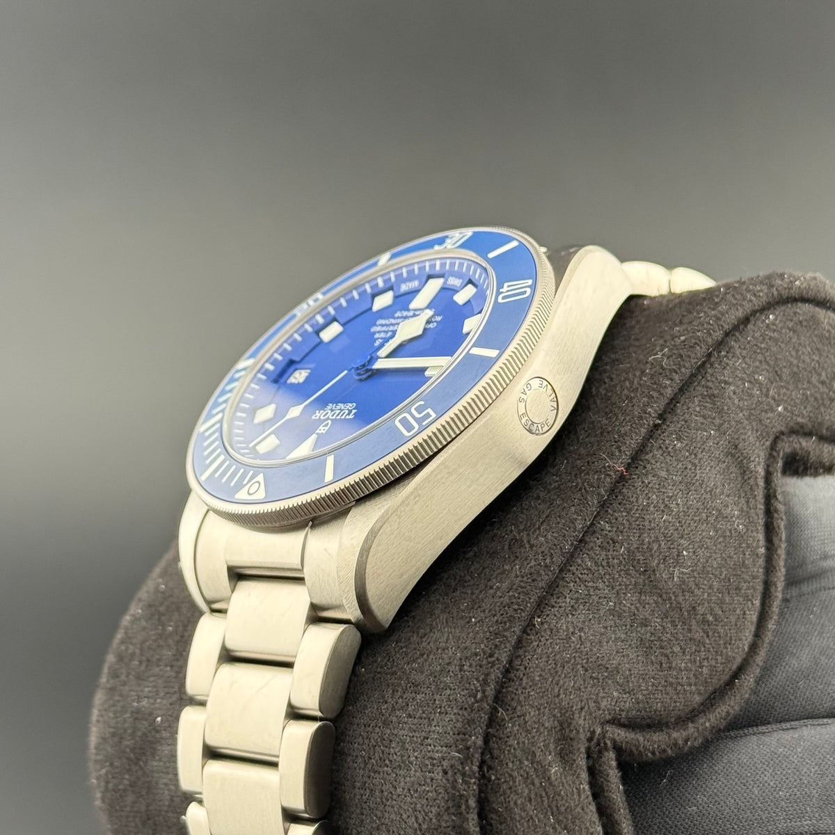 NEW Tudor Pelagos 42mm Blue 25600TB