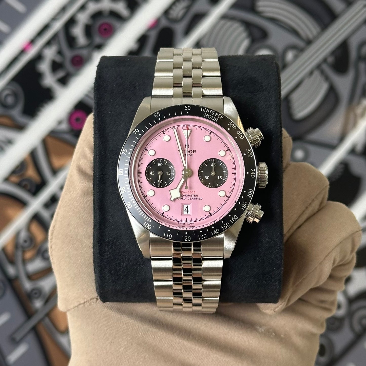 NEW Tudor Pink Chronograph 79360N