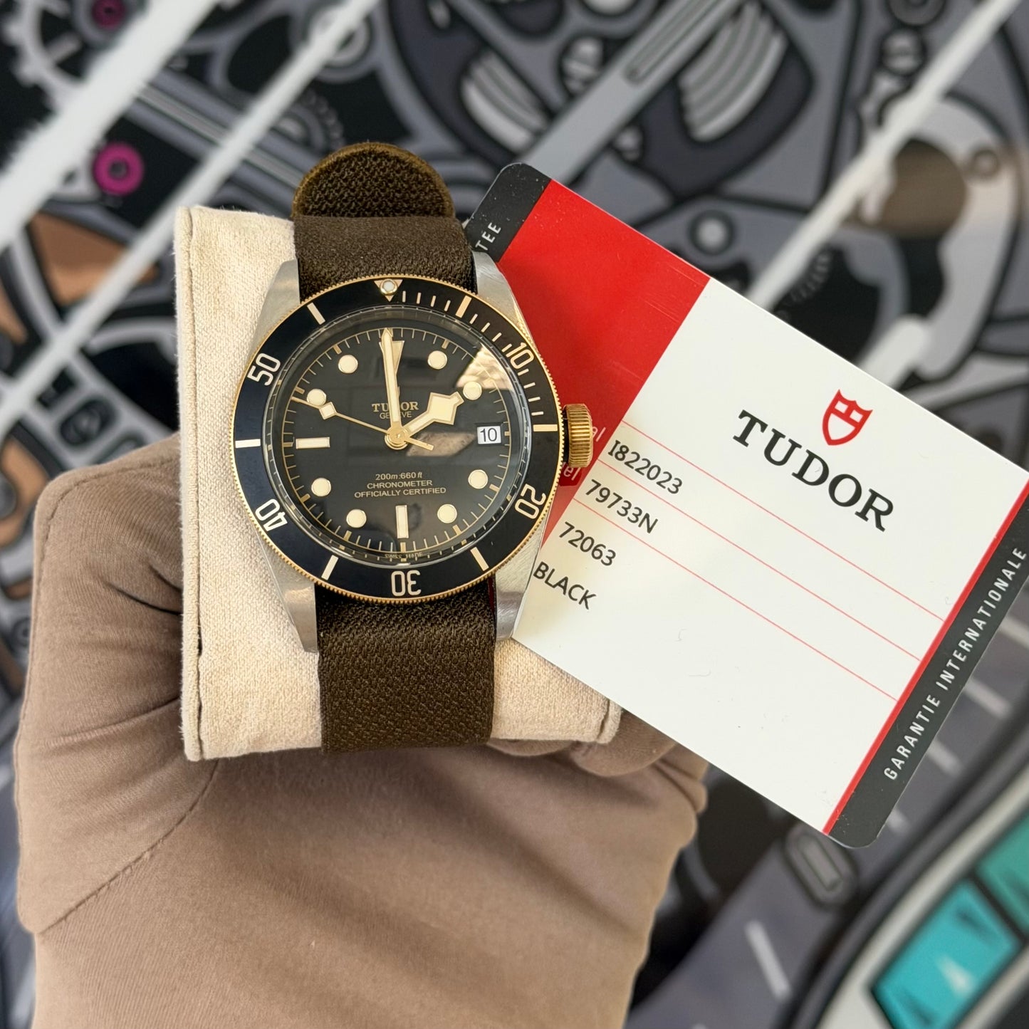 Tudor Black Bay Steel & Gold 79733N