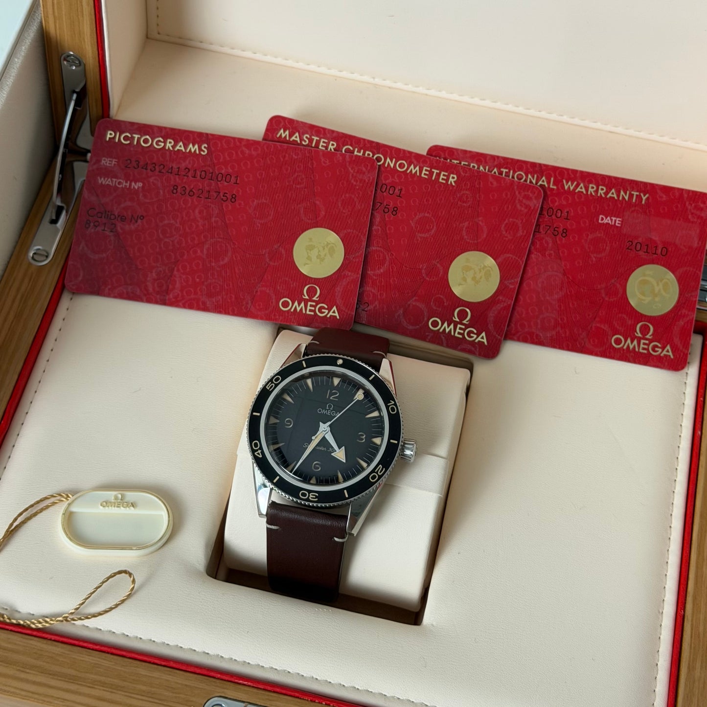 Omega Seamaster 300 234.32.41.21.01.001