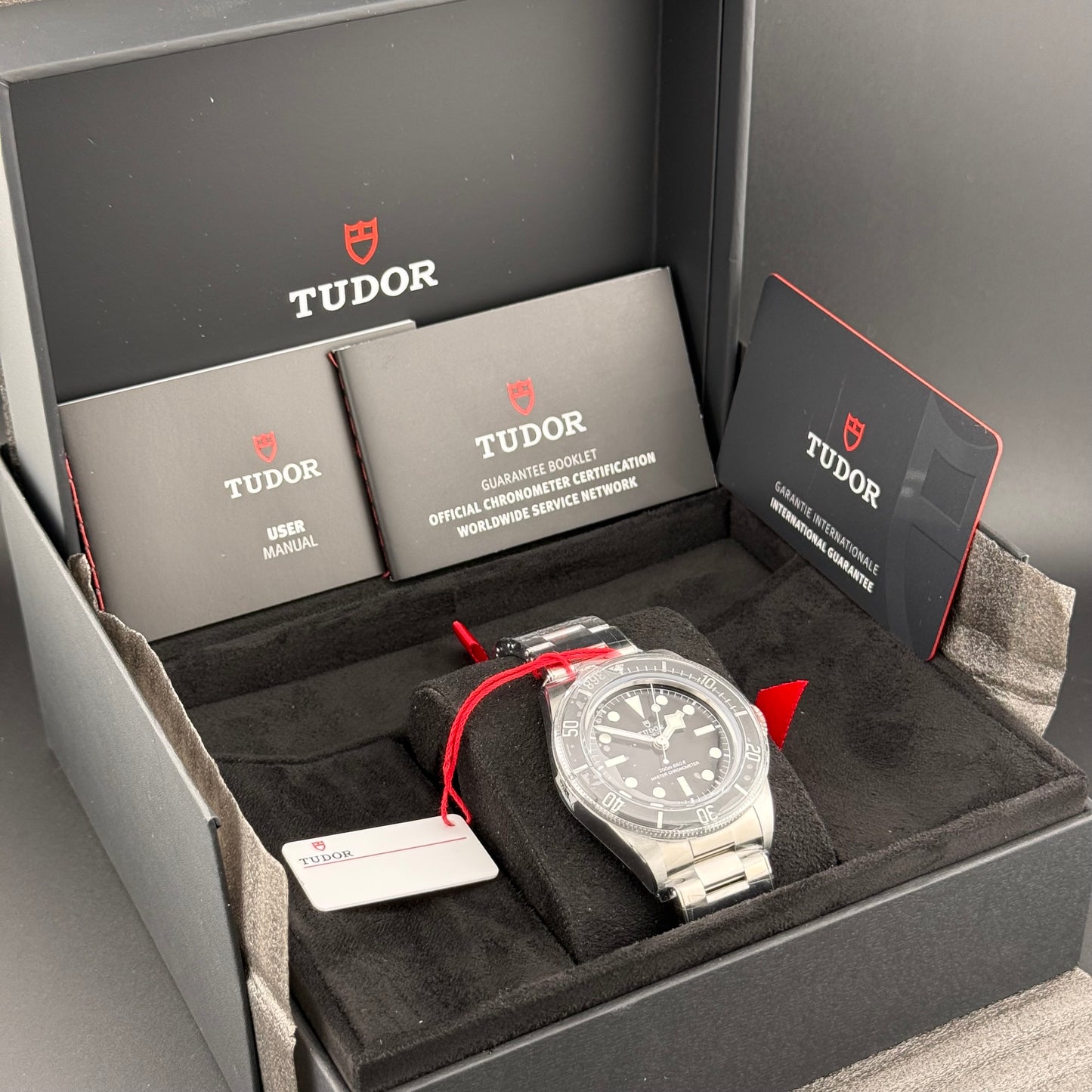 NEW Tudor Black Bay 41 Monochrome Oyster 7941A1A0NU