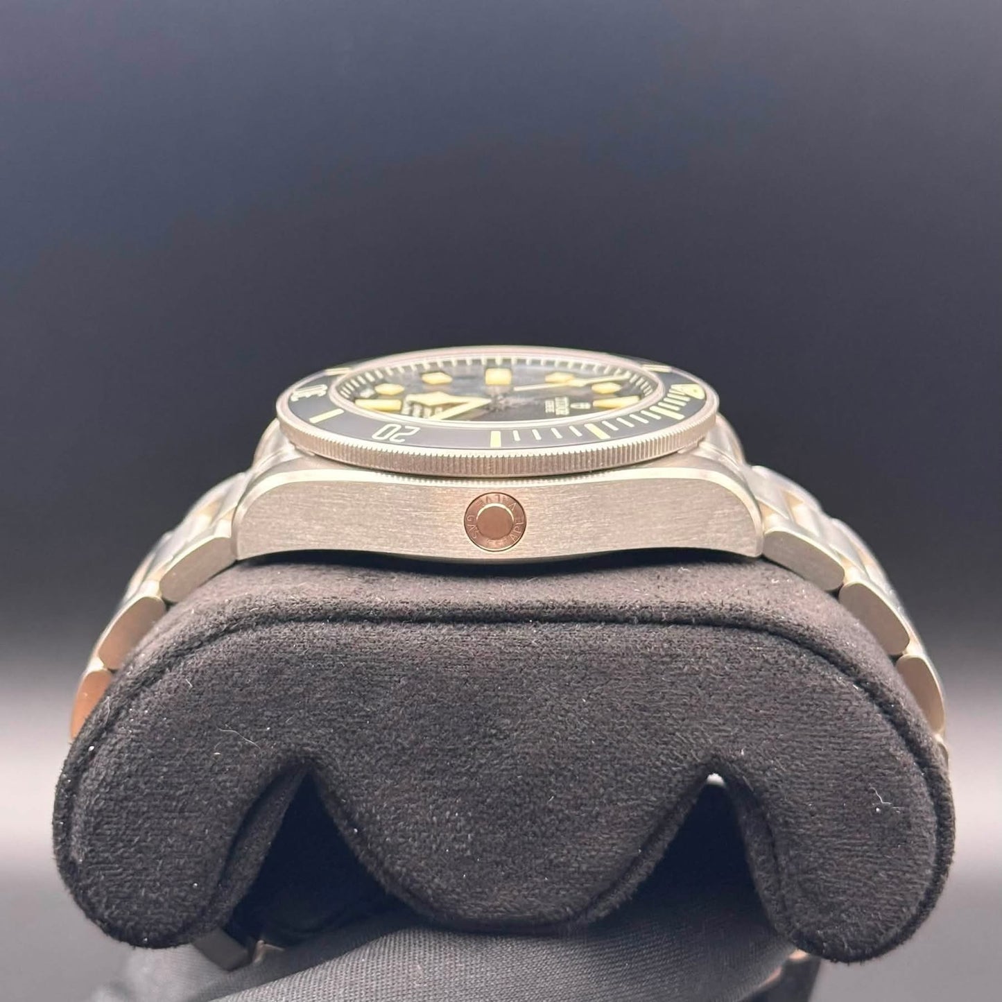 NEW Tudor Pelagos LHD 42mm 25610TNL