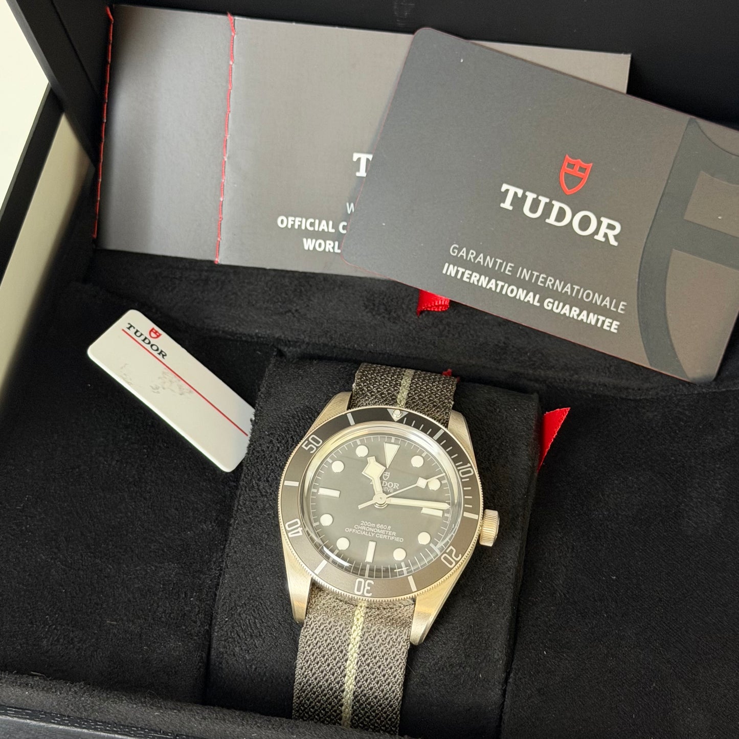 NEW Tudor BB58 Silver NATO 79010SG