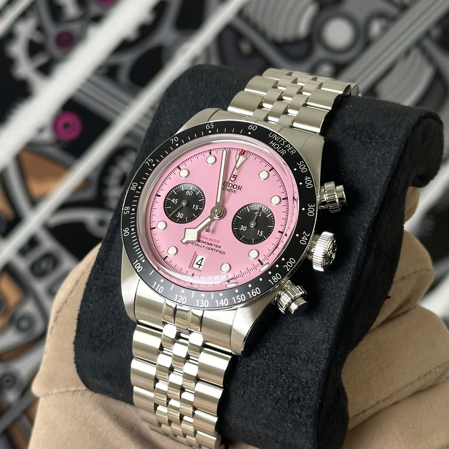 NEW Tudor Pink Chronograph 79360N