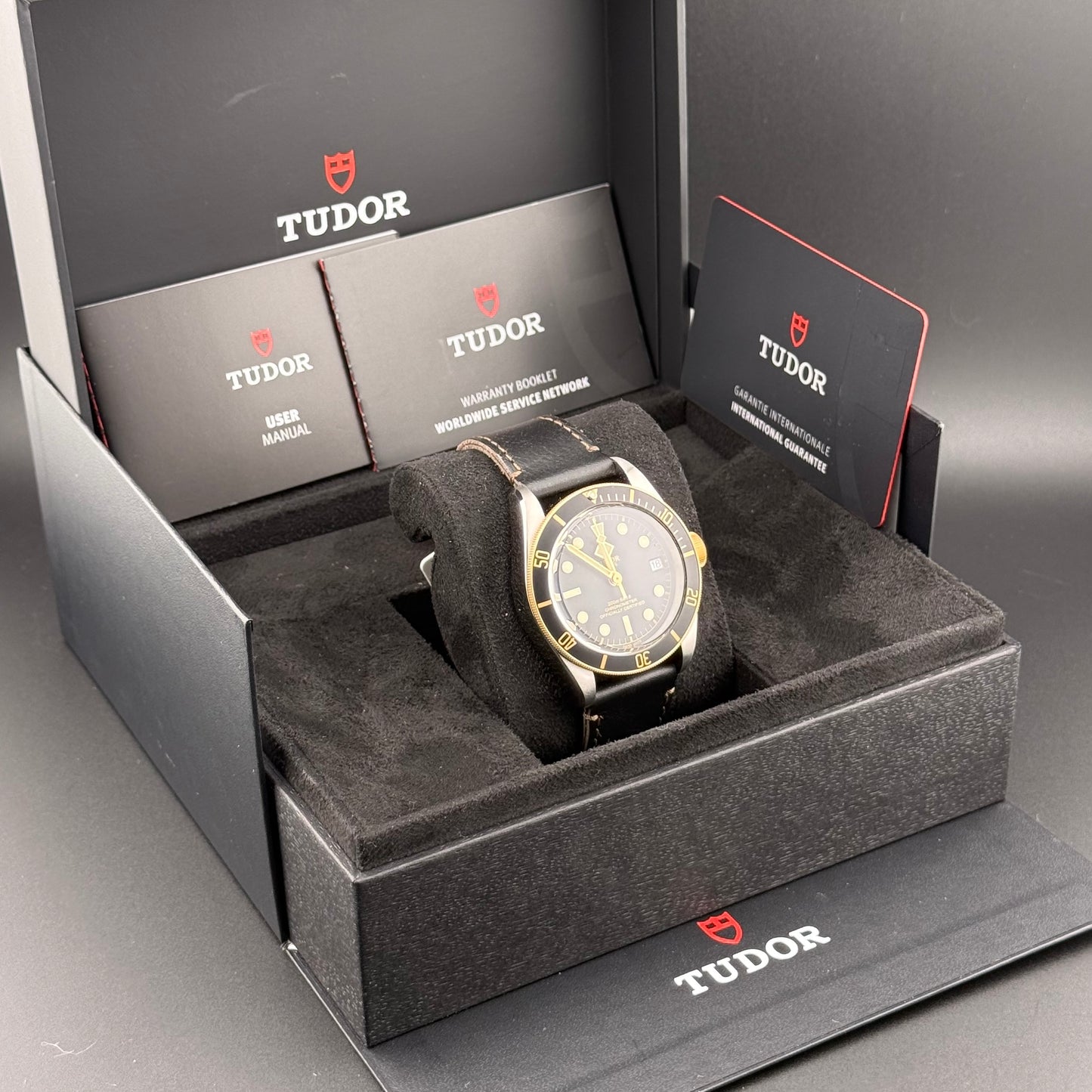 NEW Tudor Black Bay Steel & Gold 79733N