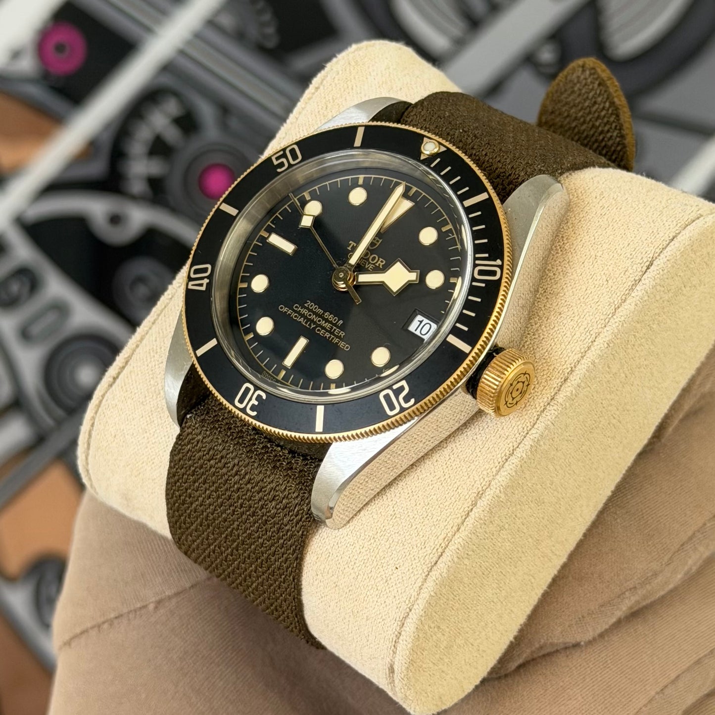 Tudor Black Bay Steel & Gold 79733N