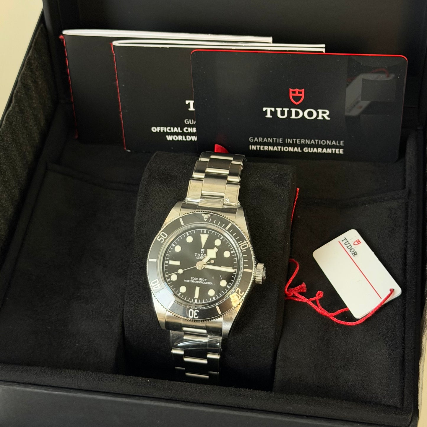 NEW Tudor Black Bay Monochrome 
7941A1A0NU 2025