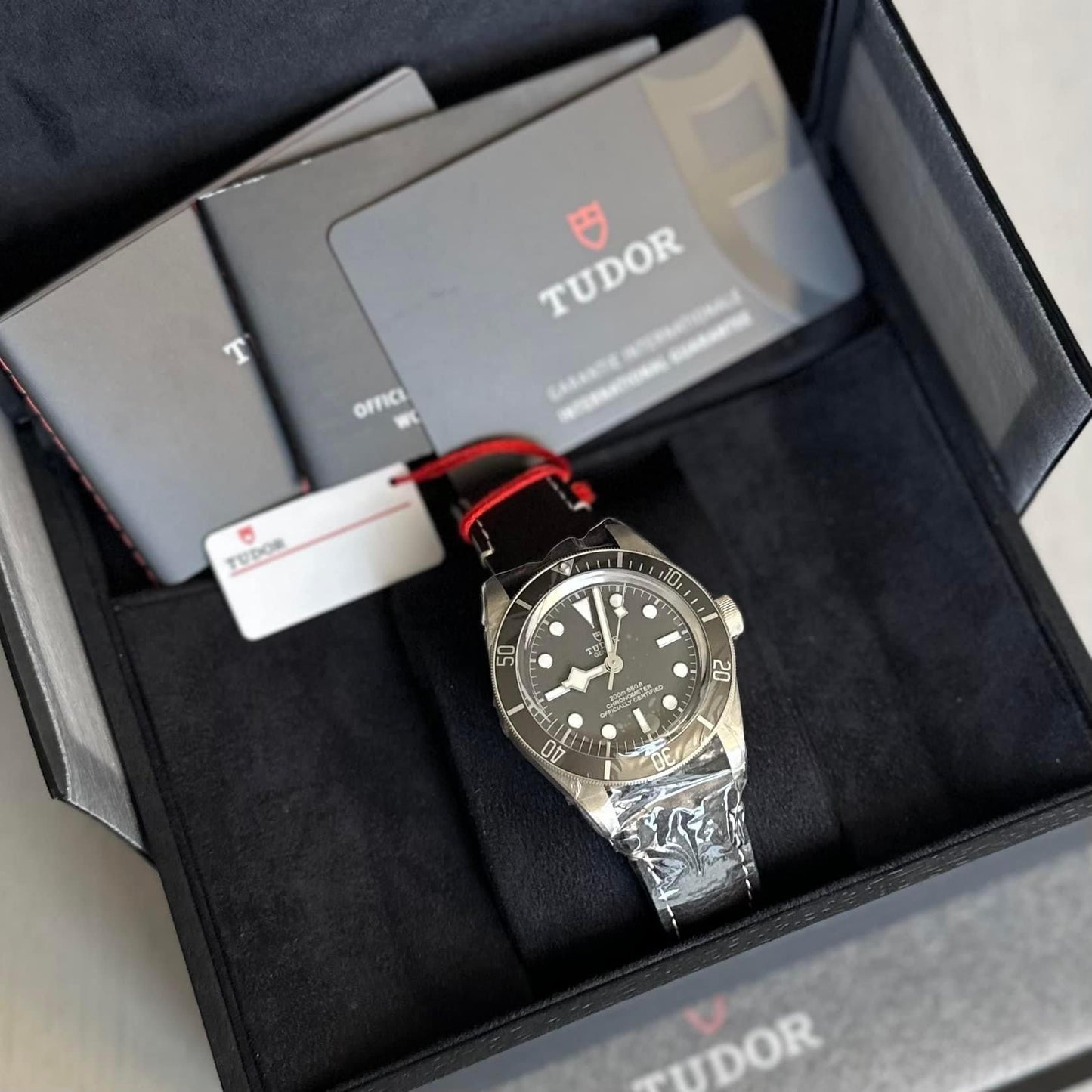 NEW Tudor Black Bay 58 Silver - leather