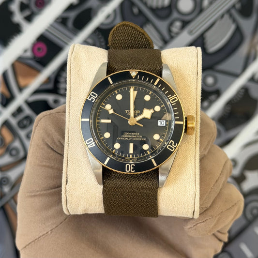 Tudor Black Bay Steel & Gold 79733N