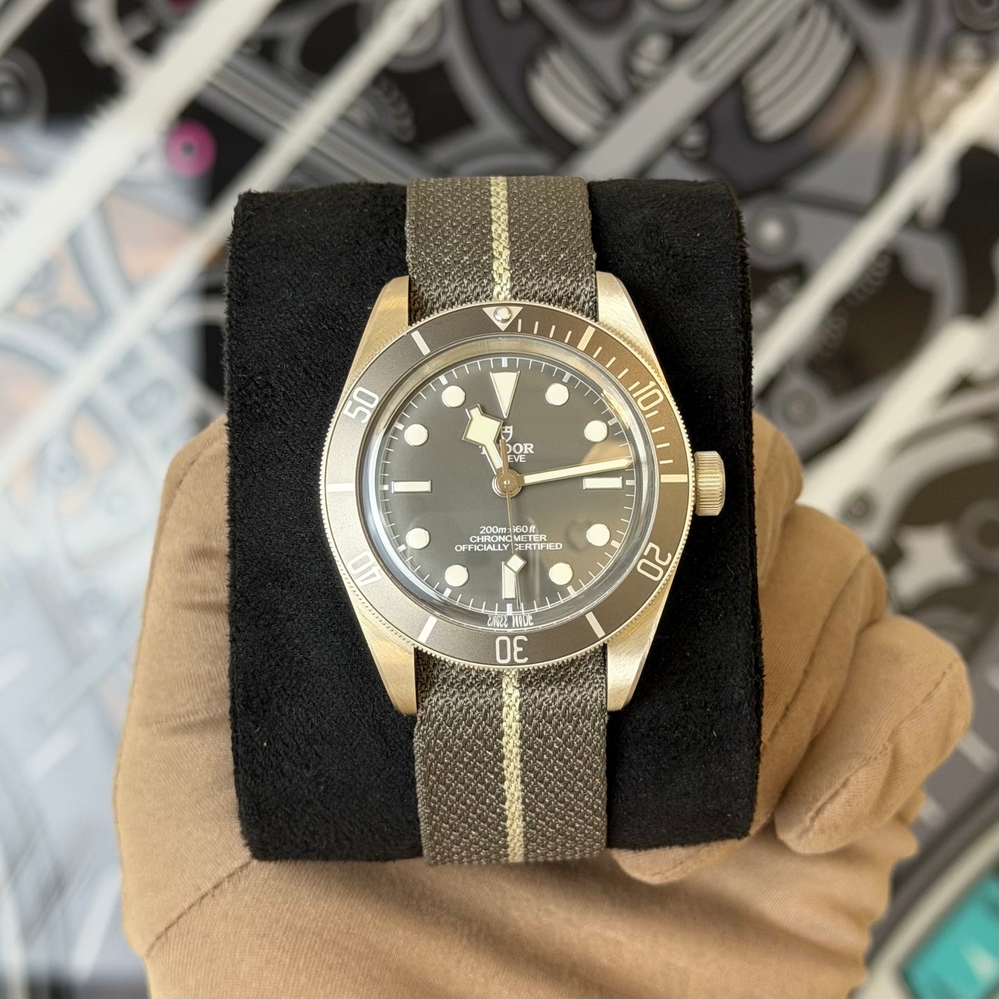 NEW Tudor BB58 Silver NATO 79010SG