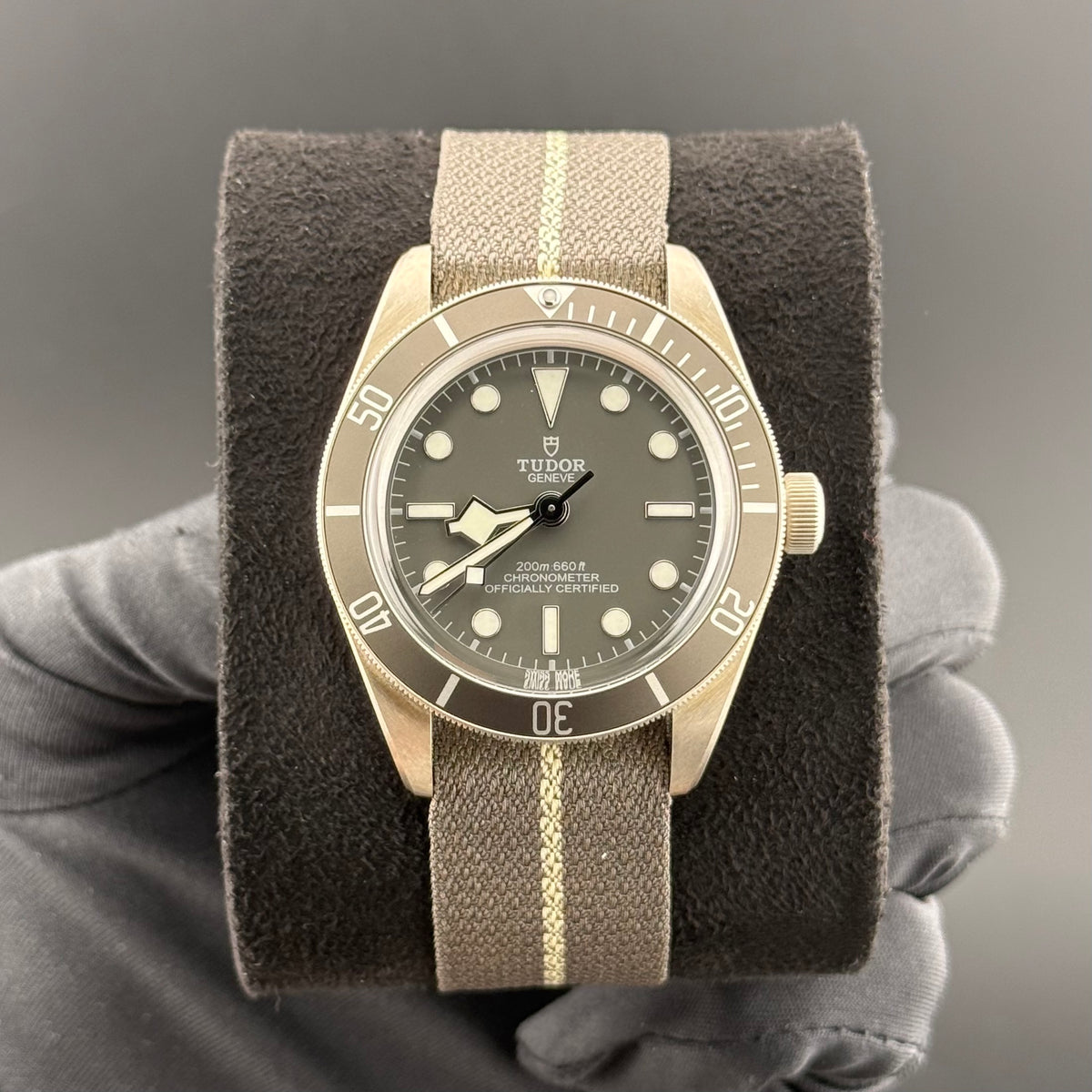 NEW Tudor Black Bay 58 925 Silver 79010SG