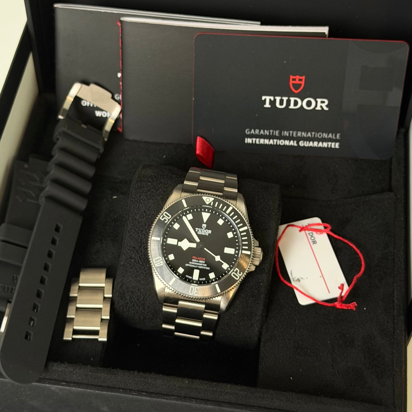 Tudor Pelagos 39 25407N