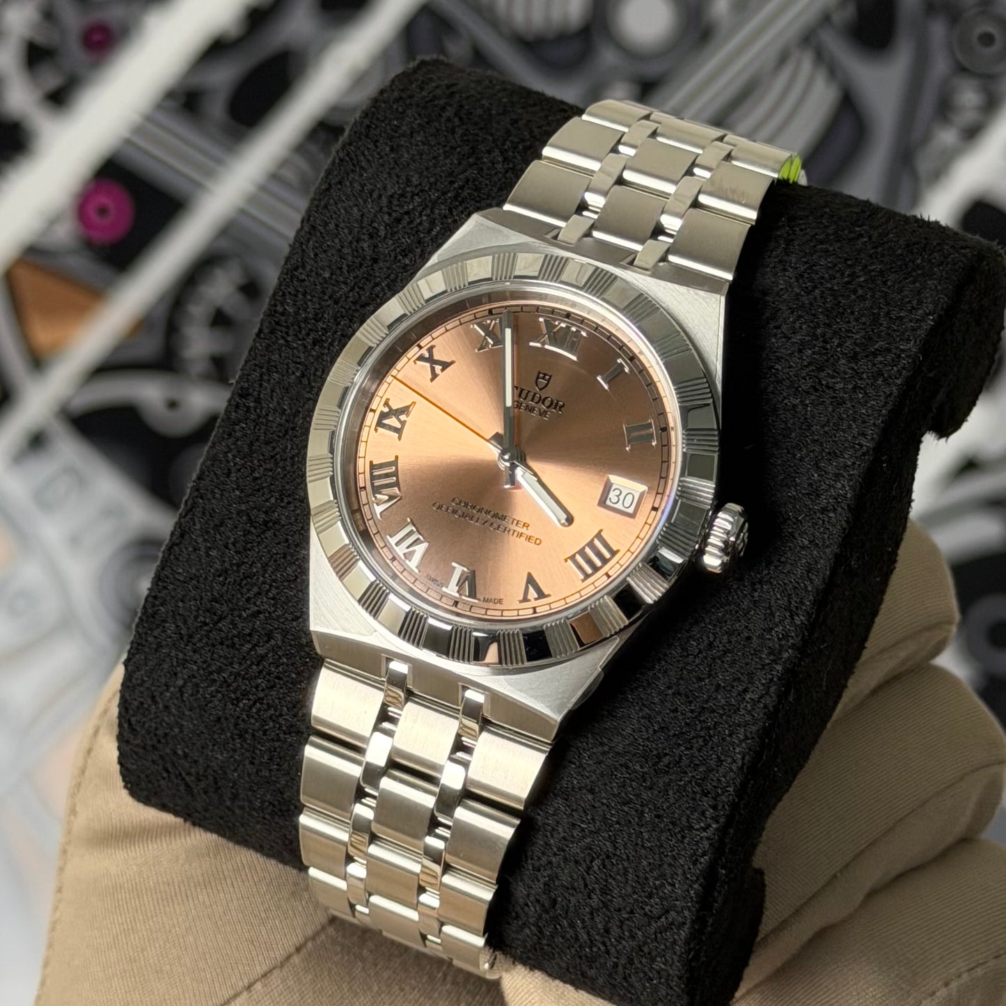 NEW Tudor Royal Salmon 2836C1A0