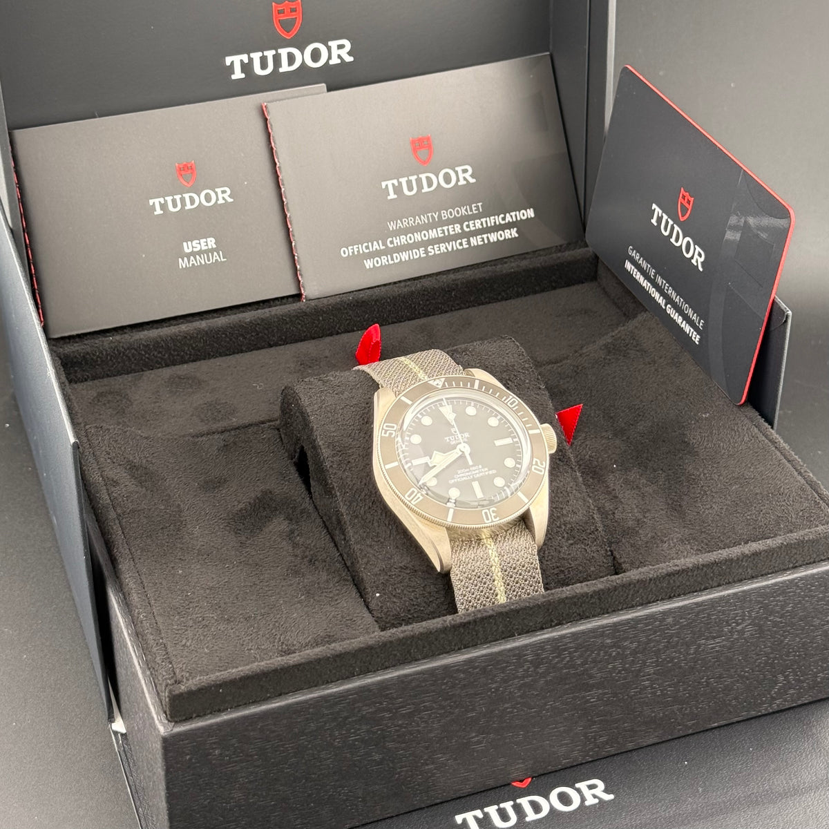 NEW Tudor Black Bay 58 925 Silver 79010SG