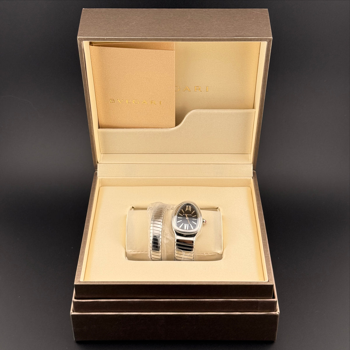 NEW Bvlgari Serpenti Tubogas 102824