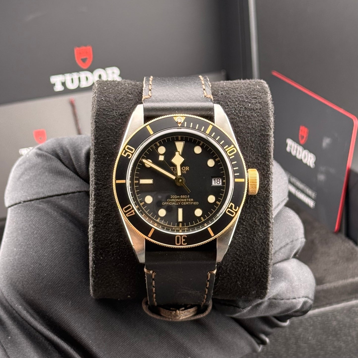 NEW Tudor Black Bay Steel & Gold 79733N