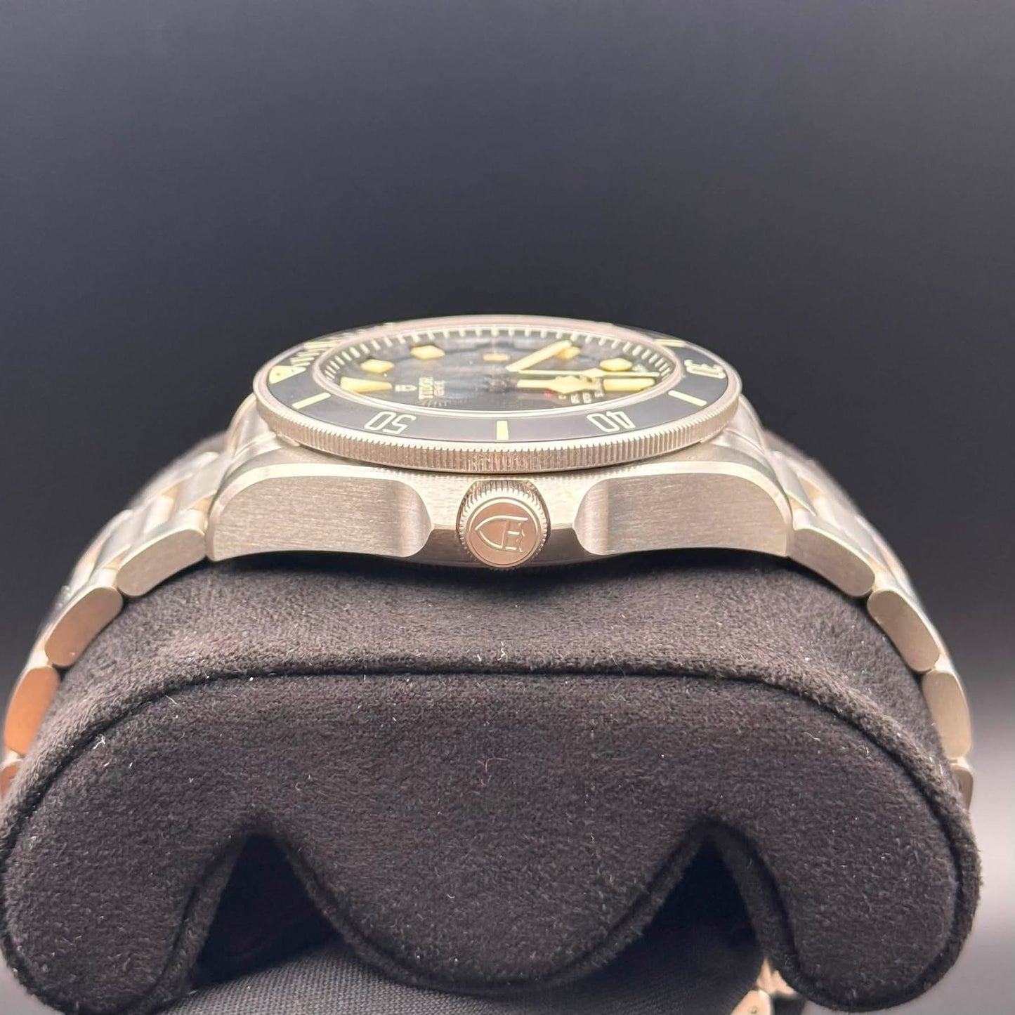 NEW Tudor Pelagos LHD 42mm 25610TNL