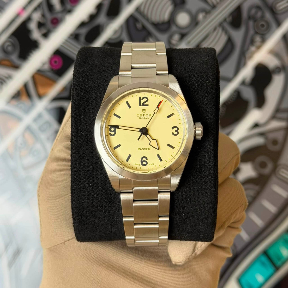 NEW Tudor Ranger Dune 79950