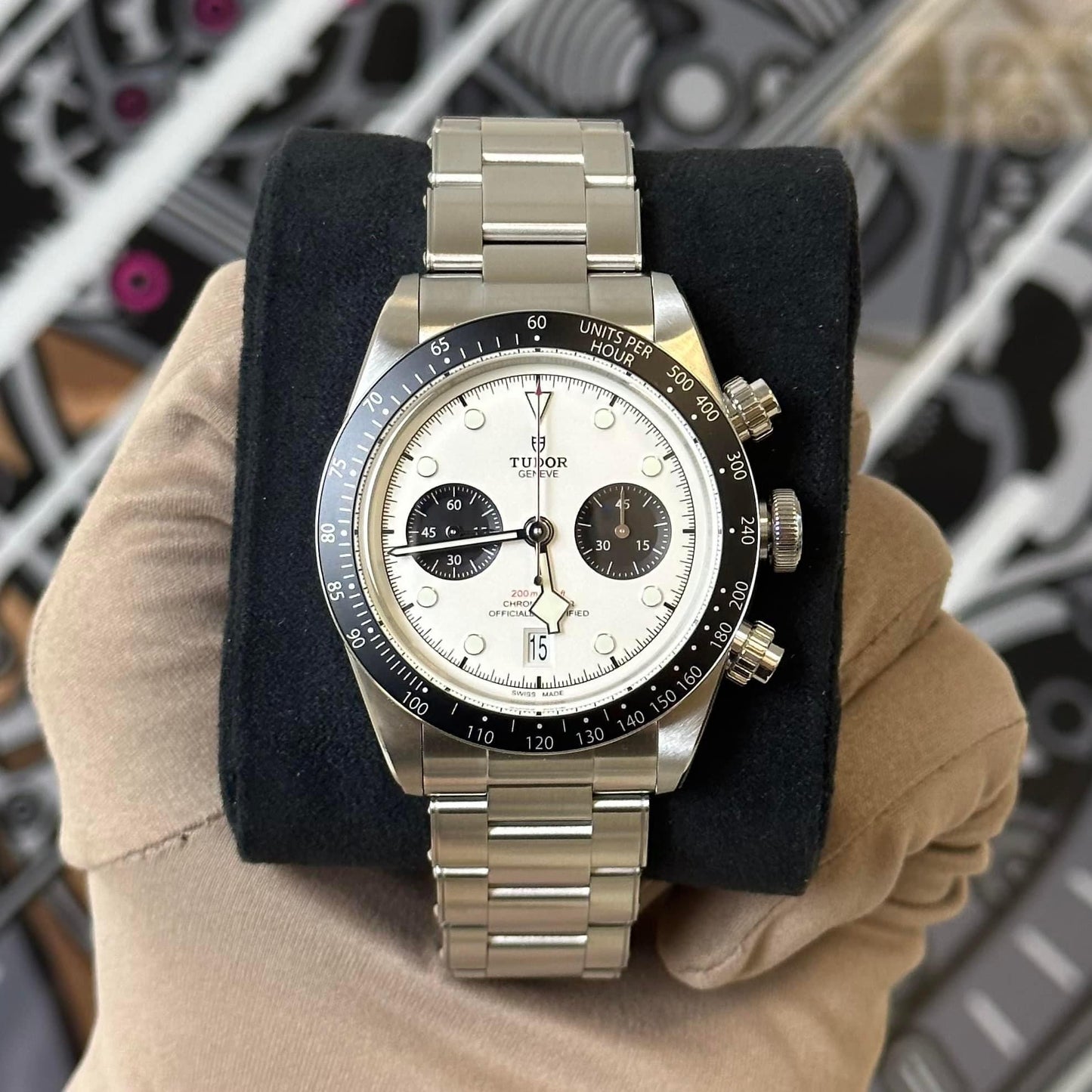 NEW Tudor Chrono Panda