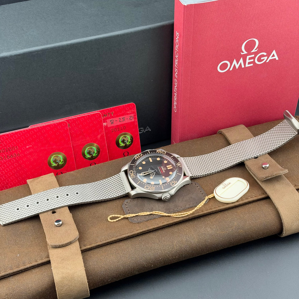 Omega Seamaster Diver 300m NTTD 210.90.42.20.01.001